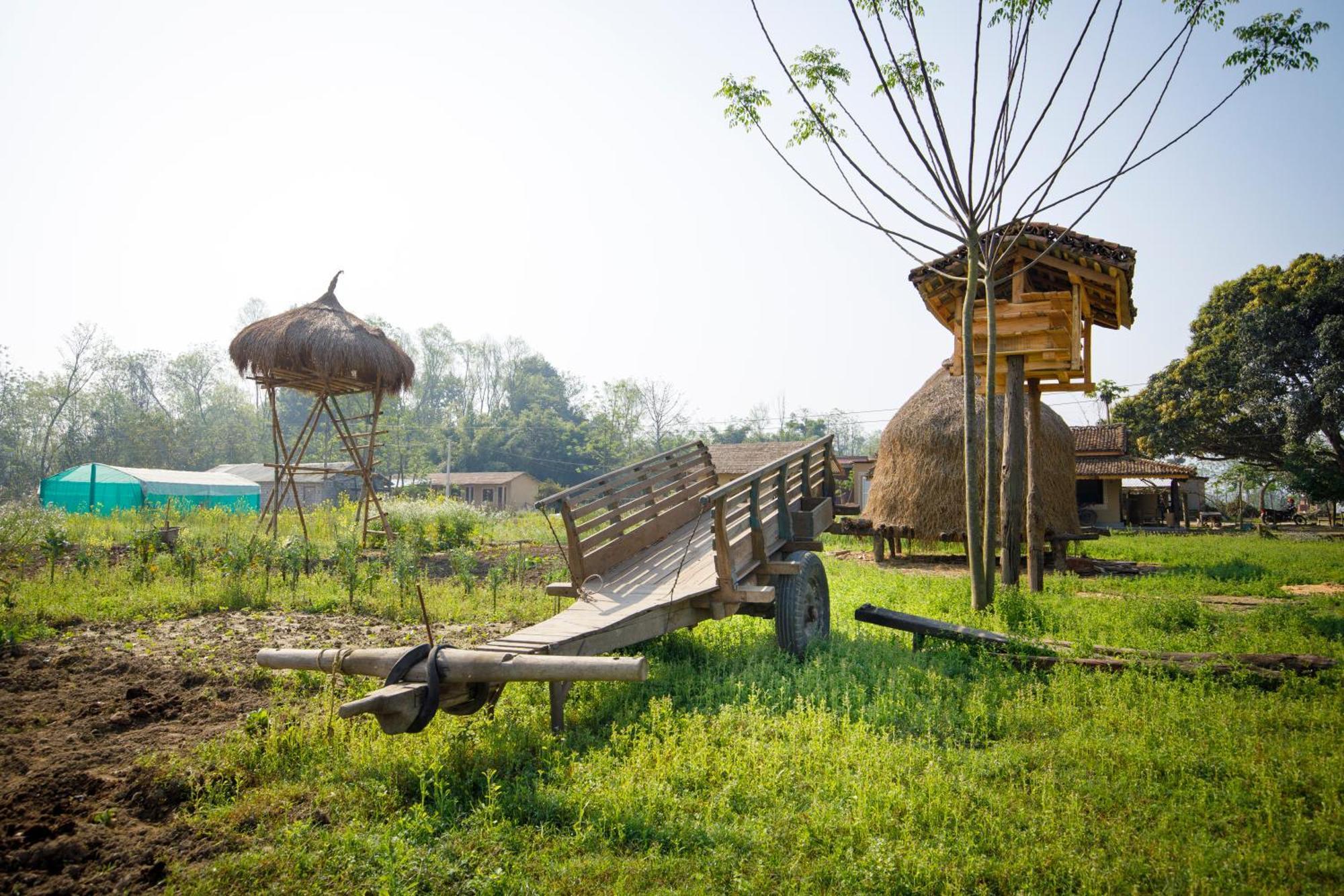 Tharu Community Lodge Kawasoti Exterior foto